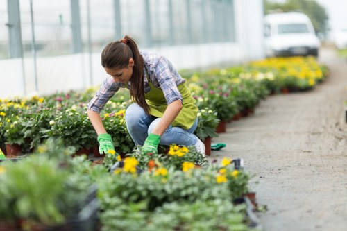 A woman wearing a light plaid shirt, blue jeans, and green gardening gloves is kneeling on a gravel pathway in a greenhouse or nursery, tending to small flowering plants with yellow and purple blossoms that are planted in black plastic pots. She is carefully inspecting or tending to the plants, which are arranged in neat, parallel rows along the gravel, with other similar containers visible in the background. The greenhouse has a translucent roof allowing natural light to illuminate the vibrant green foliage and colorful flowers, and a white van can be seen outside through the glass walls, indicating a professional gardening or landscaping environment in Acton. The scene captures the careful, detailed work involved in garden plant care as part of outdoor landscape maintenance services offered by Landscapers Acton, reflecting a focus on horticultural detail, plant health, and garden aesthetics in a controlled, bright environment.