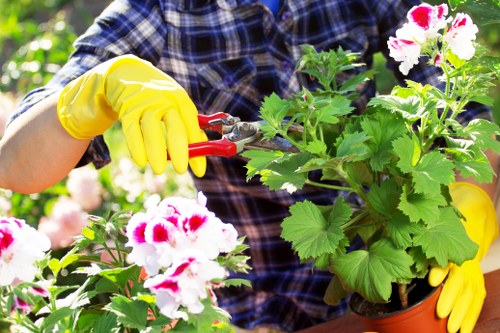 Customer complaint form and landscaping service notes