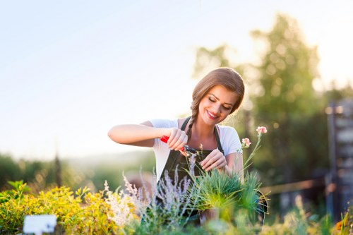 Accessible landscaping website in Acton with inclusive design features
