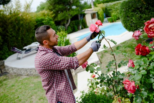Professional landscape design elements in an Acton garden