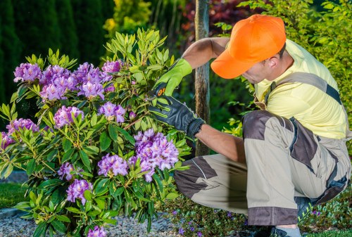 Landscape waste removal pricing in Acton for garden clearances