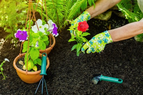 Eco-friendly garden clearance in Acton