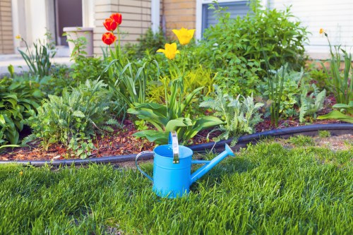 Selection of native plants suitable for Acton landscaping