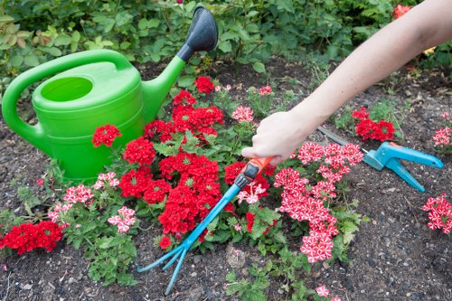 A garden scene in Acton featuring a freshly prepared flower bed with vibrant red and pink flowering plants, bordered by dark, moist soil and a neat edging. In the foreground, a person’s hand is visible, holding a small gardening fork, tending to the plants. To the left, a bright green watering can is positioned on the ground, alongside the garden bed, suggesting ongoing care. The background includes dense green foliage and shrubs, indicating a well-maintained outdoor space. The scene is set in natural daylight with overcast weather, highlighting the fresh textures of the soil and the lushness of the flowers. This image demonstrates typical gardening activities that Landscapers Acton offers, such as planting, watering, and garden maintenance, situated within a landscaped yard or front garden in the Acton locality, making it relevant to local gardening and landscaping services.