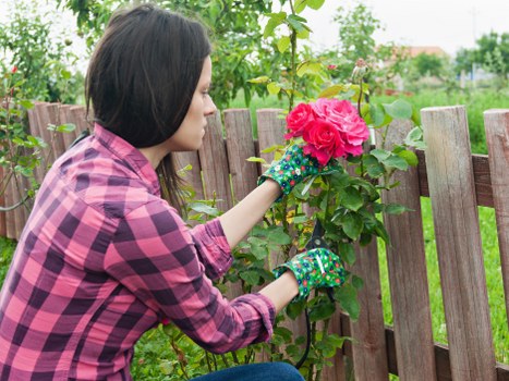 Garden debris removal in Acton