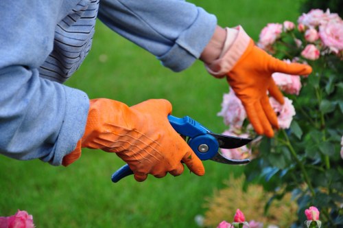 Efficient irrigation system set up by Acton Landscapers