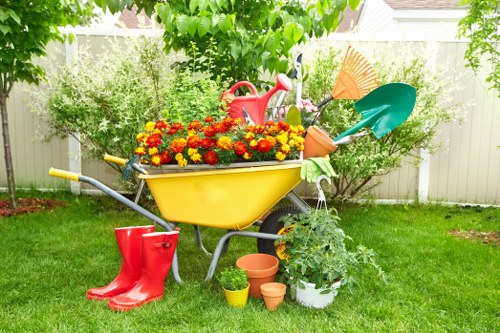 Professional lawn care services in Acton