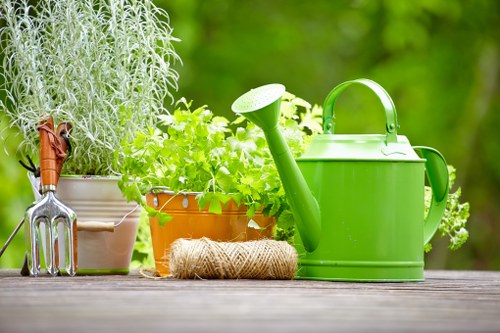 The image shows a tidy garden scene with various gardening tools and plants placed on a wooden surface. On the left, there's a metal hand fork with wooden handles, positioned next to a white ceramic pot containing a tall, silvery herb or shrub. In the center, a terracotta pot houses lush, vibrant green leafy plants, sitting alongside a coiled piece of natural garden twine. On the right, a bright green plastic watering can with a long spout and curved handle is prominently displayed, indicative of gardening maintenance. The background reveals a blurred, lush green outdoor environment, suggesting a garden setting with diffuse natural light, possibly on a mild, overcast day. The scene emphasizes garden care elements, suitable for landscaping and lawn maintenance services by companies like Landscapers Acton, focused on creating well-maintained outdoor spaces in the Acton area, with the backdrop of a healthy garden ambiance.