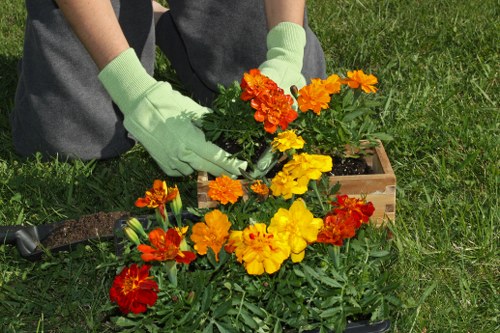 A gardener wearing light green gloves is planting vibrant marigold flowers in a wooden garden bed located in a landscaped outdoor space. The flowers display bright orange, yellow, and red blooms, contrasting with the lush green foliage. The surrounding area features a well-maintained lawn with evenly cut grass and a backdrop of mature shrubs or hedges. The garden bed is situated on a grassy surface, and the scene suggests early spring or summer weather with clear natural light. The environment appears tidy and organized, reflecting professional landscaping standards. The image emphasizes the practice of flower bed creation as part of gardening services offered by Landscapers Acton, located near Acton, London, and is relevant to outdoor garden design and maintenance within this domain.