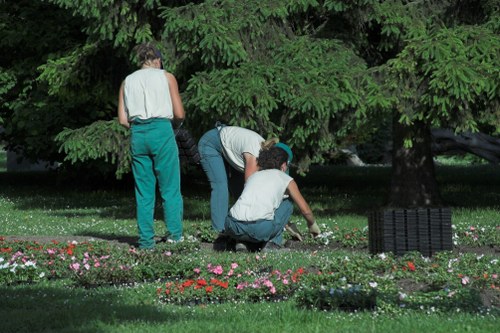 A team of three gardeners working in a landscaped garden area, with two people kneeling near flower beds containing small, colorful flowering plants, and one person standing and observing. The garden features a neatly maintained lawn with a dense, leafy green tree in the background providing shade. The flower beds are bordered by dark soil and a variety of low-growing flowers in shades of pink, red, and purple. The garden space is outdoors, with natural lighting indicating a bright, possibly sunny day. The scene reflects professional gardening activities typical of a well-kept residential or community garden, potentially serviced by landscapers such as Landscapers Acton in the local area, with emphasis on lawn care, planting, and general outdoor maintenance.
