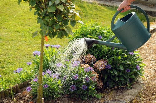 A person watering a garden bed with a green plastic watering can, positioned over a lush flower border containing purple and white flowering plants and green foliage. The garden features a neatly maintained lawn area with bright green grass, bordered by a wooden edging, and a small tree with a slender trunk and green leafy canopy on the left side of the image. In the background, there are more plants and a pathway, suggesting a well-kept outdoor space in Acton, suitable for gardening and landscaping maintenance. The weather appears to be sunny and clear, with natural light illuminating the vibrant colors and textures of the garden elements. This scene demonstrates typical gardening activities one might request from professionals like Landscapers Acton who provide comprehensive outdoor care services, including plant watering, lawn upkeep, and garden bed maintenance.