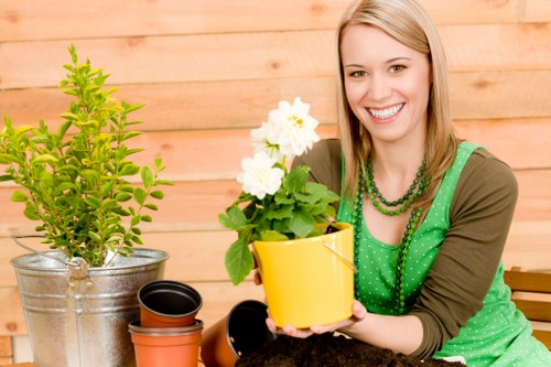 Seasonal garden clearance tips for Acton