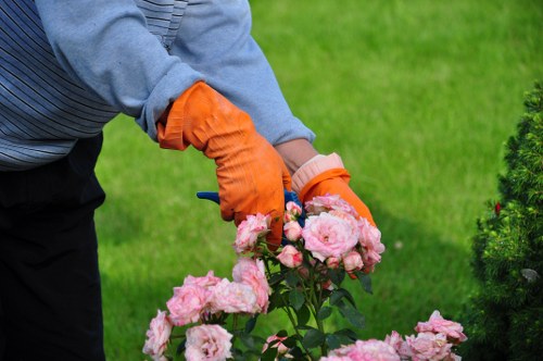 Acton residents benefiting from tree services