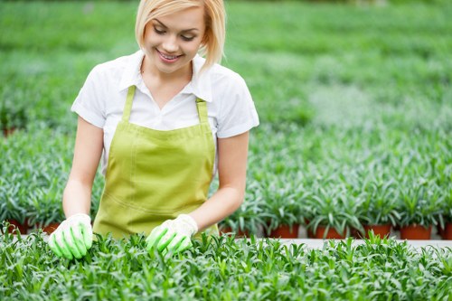 Healthy and neatly trimmed hedges in an Acton backyard