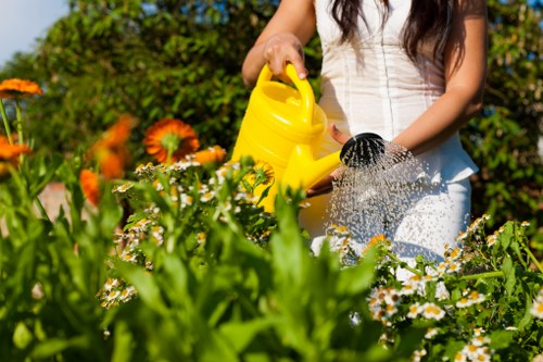 In a well-maintained outdoor garden space, a woman with long brown hair, dressed in a white top, is watering a variety of flowering plants using a yellow watering can. The garden features a dense border of colorful flowers, including orange and white blooms, with lush green foliage throughout. In the background, there are neatly trimmed hedges and small trees, indicating a landscaped yard. The ground consists of a mix of soil and paving stones, providing a contrast to the vibrant plants. Bright natural sunlight illuminates the scene, suggesting a clear, sunny day, ideal for gardening activities. This setting exemplifies typical outdoor landscaping and gardening work that a professional service like Landscapers Acton might undertake to improve and maintain residential gardens in the local area near Acton, London. The focus on plant care and garden aesthetics reflects common gardening services offered to enhance outdoor spaces.