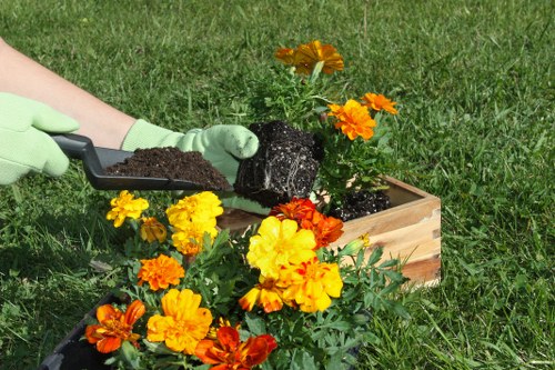 Professional lawn care service in Acton