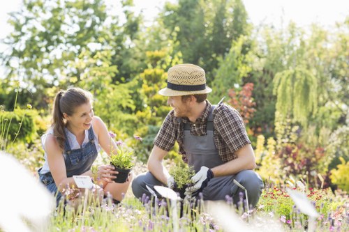 A gardener and a young woman are working together in a well-maintained garden, surrounded by a variety of flowering plants, shrubs, and trees. The gardener, dressed in a checked shirt, grey overalls, and wearing gloves, is kneeling on a paved pathway and holding a small potted plant, preparing for planting or transplanting. The young woman, wearing a blue denim apron and smiling, appears engaged and happy as she helps or observes. The garden features a lush, green lawn with dense borders of colorful flowers, including purple, pink, and red blooms, and mature trees in the background that cast dappled sunlight across the outdoor space. The scene suggests a peaceful, professionally maintained landscape, suitable for gardening and outdoor maintenance services by Landscapers Acton. The overall environment is bright and sunny, with natural light highlighting the vibrant natural tones and textures of the plants, soil, and paved surfaces, creating an inviting outdoor setting in Acton suitable for sustainable gardening practices.